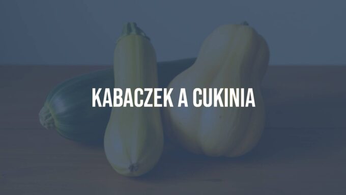 A vibrant still life of zucchini and mature squash (kabaczek), side by side, fresh and crisp, farmhouse table, natural lighting, realistic.