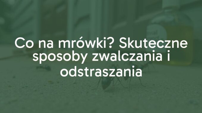 A trail of ants leading to a house entrance, close-up on the ants, natural pest control methods in the background like cinnamon or vinegar, realistic.