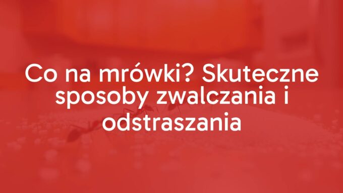 A line of ants marching towards spilled sugar in a kitchen, natural lighting, hyperrealistic, close-up shot.