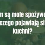 Close-up of a food moth (Plodia interpunctella) on kitchen ingredients, realistic, pantry environment, slight grain texture.