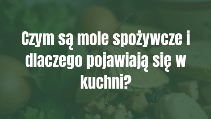 Close-up of a food moth (Plodia interpunctella) on kitchen ingredients, realistic, pantry environment, slight grain texture.