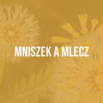 Close-up of dandelion (Taraxacum officinale) and field milk thistle (Sonchus arvensis) side by side, highlighting botanical differences, green leaves and yellow flowers, soft natural light, detailed and realistic.