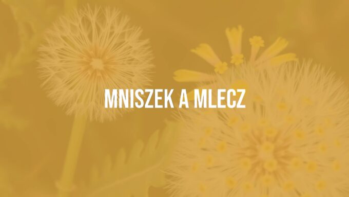 Close-up of dandelion (Taraxacum officinale) and field milk thistle (Sonchus arvensis) side by side, highlighting botanical differences, green leaves and yellow flowers, soft natural light, detailed and realistic.