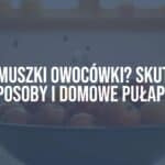 A bowl of ripe fruit with fruit flies hovering around, kitchen counter, natural light, realistic.