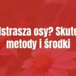 A realistic close-up of a wasp on a flower, with a DIY bottle trap in the background, soft natural lighting, summer garden setting.