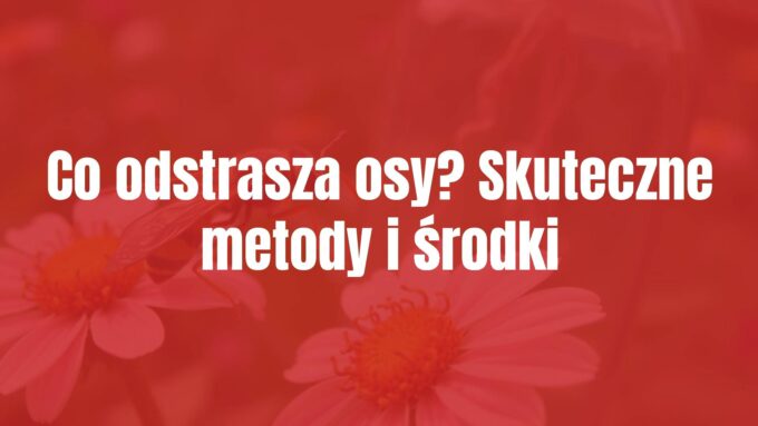 A realistic close-up of a wasp on a flower, with a DIY bottle trap in the background, soft natural lighting, summer garden setting.