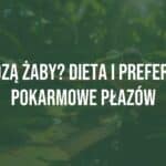 A vibrant green frog with a long, sticky tongue catching a fly in a lush wetland, sunlight filtering through leaves, realistic.