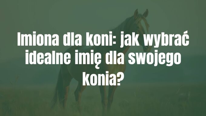 Majestic horse standing in a sunlit meadow, elegant and strong, with a thoughtful expression, soft focus background, warm tones, realistic.