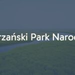 Biebrza National Park landscape, vast wetlands, river Biebrza winding through marshes, lush vegetation, wildlife, serene and natural, realistic.