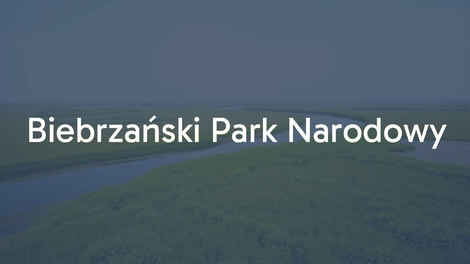 Biebrza National Park landscape, vast wetlands, river Biebrza winding through marshes, lush vegetation, wildlife, serene and natural, realistic.