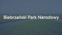 Biebrza National Park landscape, vast wetlands, river Biebrza winding through marshes, lush vegetation, wildlife, serene and natural, realistic.