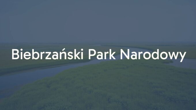 Biebrza National Park landscape, vast wetlands, river Biebrza winding through marshes, lush vegetation, wildlife, serene and natural, realistic.