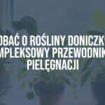 A collection of various healthy indoor plants in decorative pots on a sunny windowsill, lush green leaves, vibrant colors, natural sunlight, cozy home setting, realistic.