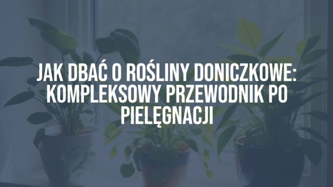 A collection of various healthy indoor plants in decorative pots on a sunny windowsill, lush green leaves, vibrant colors, natural sunlight, cozy home setting, realistic.