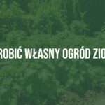 A lush herb garden with basil, mint, and other herbs, sunny and well-tended, realistic.