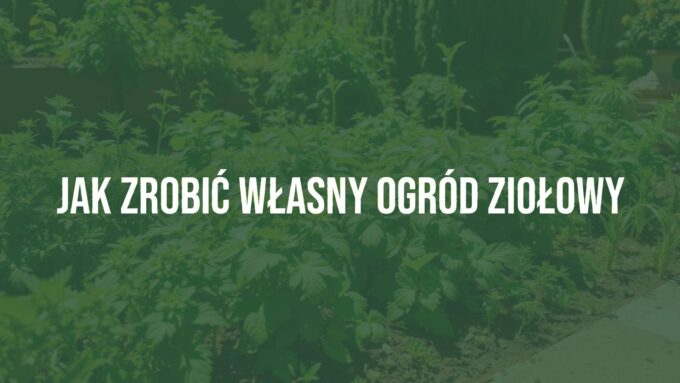 A lush herb garden with basil, mint, and other herbs, sunny and well-tended, realistic.