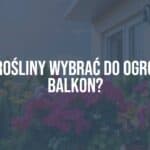 Colorful balcony garden with blooming flowers like pelargoniums and begonias, small evergreen shrubs, and potted herbs, sunny afternoon, vibrant and cozy atmosphere, realistic.